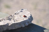 DSC_0448.jpg