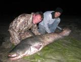 k-IMG_3264.jpg