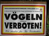 Vögeln verboten.jpg