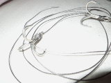 DSCN0709.jpg