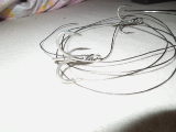 DSCN0710.jpg