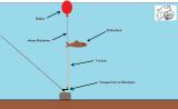 Ballon See.png