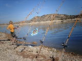 Ebro2006 014.jpg