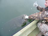 DSCF3091.jpg