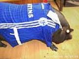 Schalke Mimi.jpg