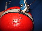 DSC00026.jpg