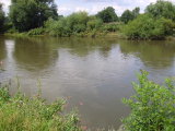 DSCI0248.jpg