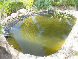 DSCN4518.jpg