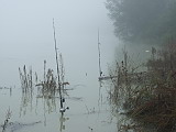 wallerwelt 6.jpg