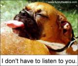 dog_tongue.jpg