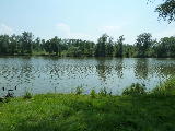 P1010371 - Kopie - Kopie.jpg