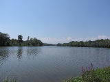 IMG_1598.jpg