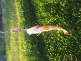 20130730_194651.jpg