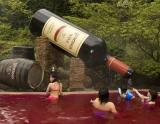 Wine-Spa-Japan.jpg