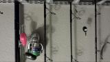 2014012121261800.jpg