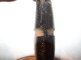 DSCF0143.jpg