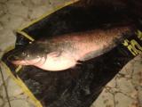 IMG-20140928-WA0009.jpg