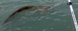 Vollbildaufzeichnung 12.10.2014 065351.bmp.jpg