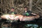 K1024_IMG_9526.jpg