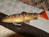 SG Inine Trout.jpg