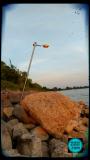 20170621_223447.jpg