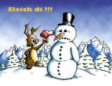 hase1.jpg