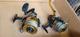 IMG-20250327-WA0022.jpg
