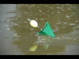 DSC_0275.jpg