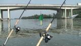 20080910134306.mpg_snapshot_00.05.503.jpg