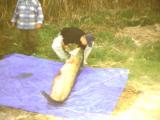 Eigene Bilder 022.jpg