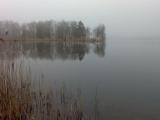 illmensee1.jpg