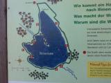 illmensee2.jpg
