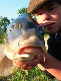 common9.jpg