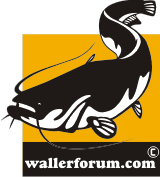 Wallerforum.com - Das Diskussionsboard