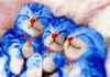 images/avatars/avatar-1177.jpg