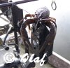 images/avatars/avatar-2085.jpg