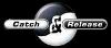 images/avatars/avatar-2241.jpg