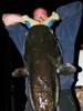 images/avatars/avatar-2581.jpg