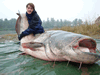 images/avatars/avatar-3738.gif