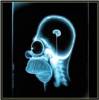 images/avatars/avatar-3840.jpg