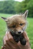 images/avatars/avatar-6139.jpg