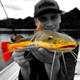 images/avatars/avatar-7055.jpg