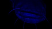 images/avatars/avatar-7067.jpg