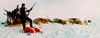 images/avatars/avatar-822.jpg