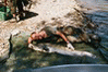 images/avatars/avatar-917.gif