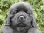 images/avatars/avatar-973.jpg