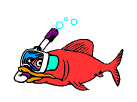 Fisch Fisch
