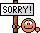 Sorry Sorry