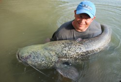 Wallerforum Welsforum Waller Wels Angeln Fischen Haken Naturkder